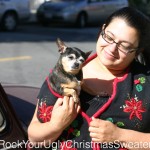 Picture of a Chihuahua in ugly Christmas sweater vest