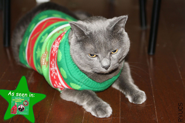 Cover cat ugly Christmas sweater